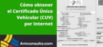 Cómo emitir el certificado único vehicular por Internet